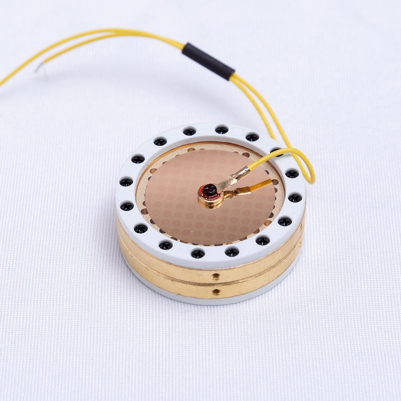 Kapsul Mikrofon Diafragma Besa - Microphone Capsule ulasan dan harga