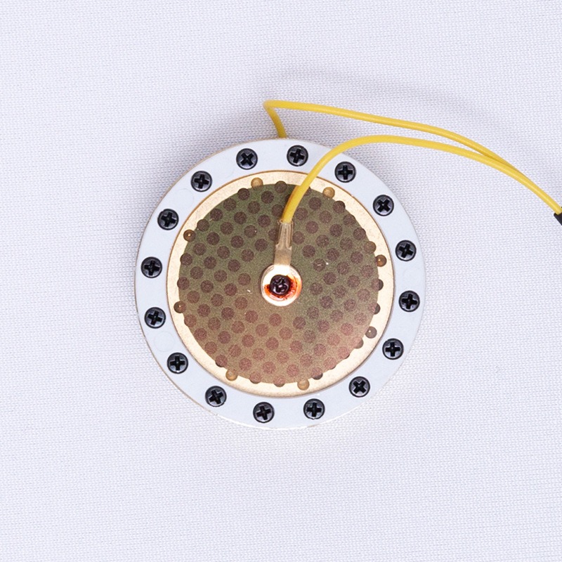Kapsul Mikrofon Diafragma Besa - Microphone Capsule ulasan dan harga
