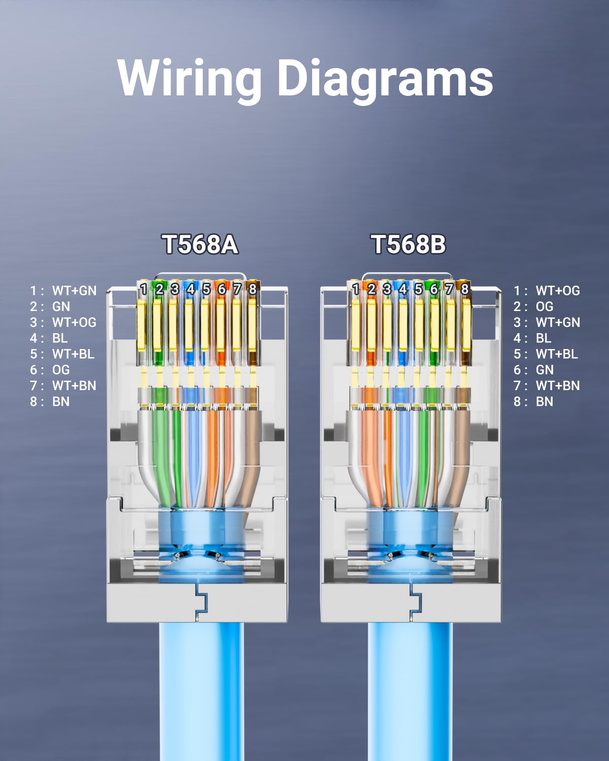 Konektor RJ45 Cat 6 Terlindung - Rj45 Jack ulasan dan harga