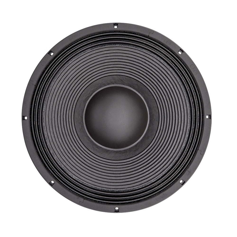 Sistem Audio Profesional 21''  - Subwoofer ulasan dan harga