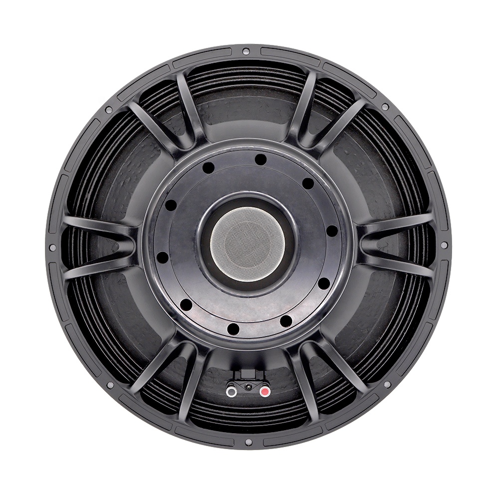 Sistem Audio Profesional 21''  - Subwoofer ulasan dan harga